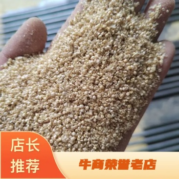 河北小米壳糠碎糠品类齐全，质量保证产地直发可视频看货