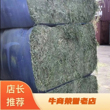 天津港苜蓿美草西草价格优惠可现场看货欢迎老板来电