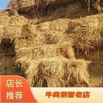 天津小捆治沙稻草基地直发大量有货可视频