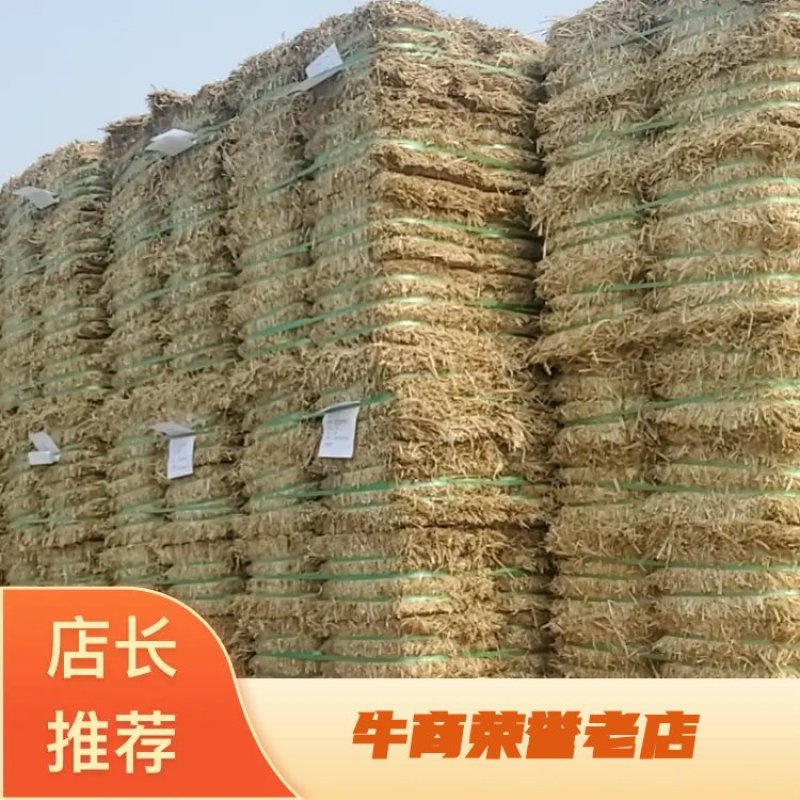 天津港JCT燕麦草基地直发大量有货诚信经营可视频看货