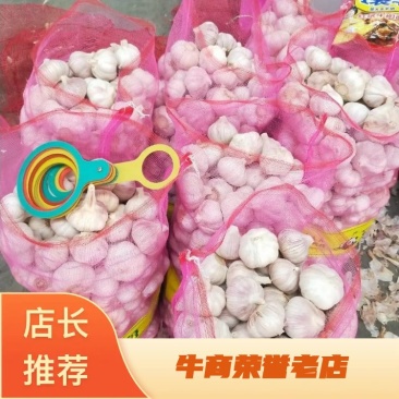 金乡红皮大蒜，红蒜全国发货，电商批发，长期有货