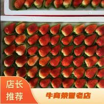 奶油草莓产地开始上市，价格稳定，欢迎全国靠谱老板合作