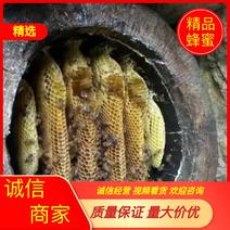瑶族深山野蜂蜜可视频量大价优欢迎咨询