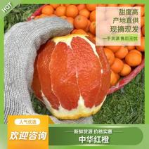春节正常发货橙子中华红橙红心橙规格齐全电商市场商超