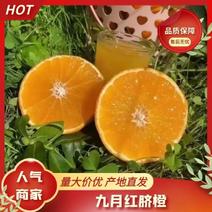 九月红脐橙秭归脐橙果冻橙果园现采现发甜过初恋来店优惠