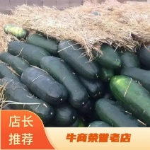 湖南地冬瓜，精品冬瓜湖南冬瓜15斤起，大量现货，基地直供