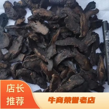 地黄种植基地大量有货品质保证量大从优欢迎老板电话联系
