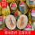 【新品上市】晓蜜25号大量上市电商社区商超供货量大价优