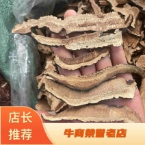 黑灵芝片不苦野生薄树芝切片煮水煲汤香味浓郁