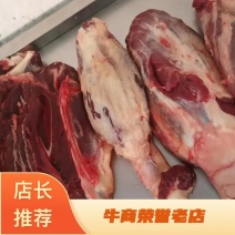 牛肉前腿肉后腿肉新鲜牛肉大量有货欢迎老板