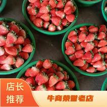 邳州市港上万亩草莓基地大量上市中可视频欢迎咨询