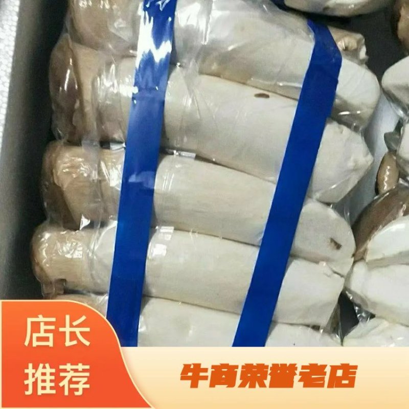 【杏鲍菇】江苏精品杏鲍菇，基地现货直发量大从优品质保障