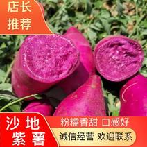 紫薯紫罗兰地瓜紫心红薯电商养殖场加工厂红薯淀粉