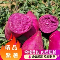 宜城精品紫薯紫罗兰地瓜紫心红薯养殖场加工厂红薯淀粉厂