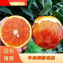 【货源充足】重庆万州血橙基地直发皮薄多汁量大从优欢迎来电
