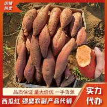 广东汕尾红薯西瓜红品种齐全现货直发量大从优诚信经营质量保证