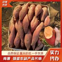 商薯广东直发大小均匀品种全口感好现买现发保证质量支持退