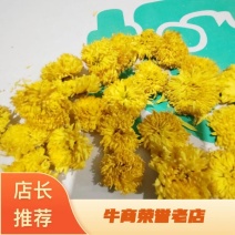【大量供应】菊花茶婺源黄菊全国发货量大从优