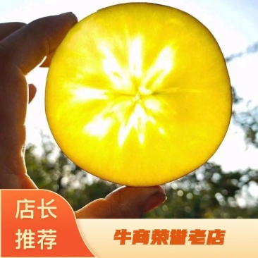 云南昭通红富士丑苹果一手货源产地直供