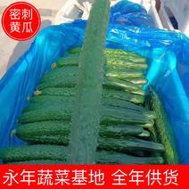 新鲜密刺黄瓜，大量供应，价格实惠，欢迎进店咨询采购！