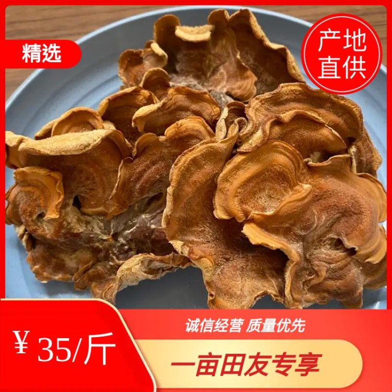 榆耳菌干货素食榆耳菇榆蘑菇榆树菇五斤包邮灵芝菇