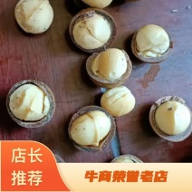 【推荐】夏威夷果南非货源工厂品质保证诚信经营各规格