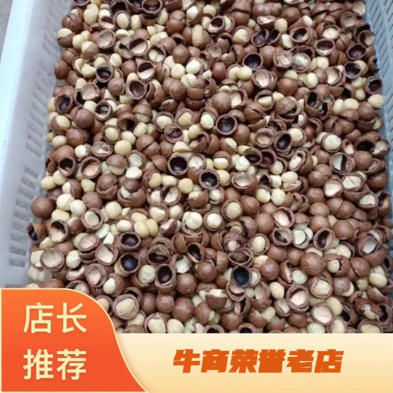 夏威夷果仁南非货源工厂直发品质保证诚信经营各规格都有