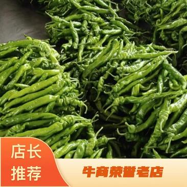 热卖中青州龙椒辣椒产地直发可视频看货量大从优