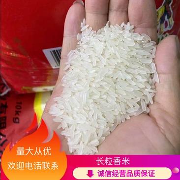 【推荐】安庆新米精品长粒香米基地直发一手货源量大优惠