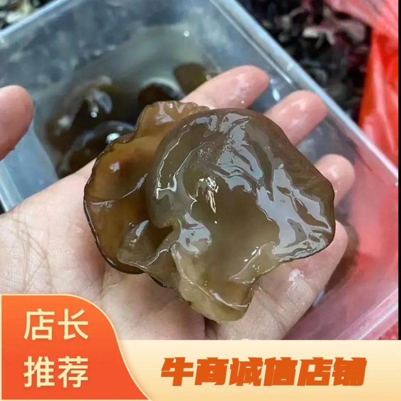 黑龙江木耳一手货源基地直发源头黑木耳香菇碗耳秋木耳