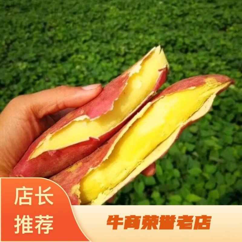 精品秦薯五号红薯质量杠杠的，条形直流，量大从优质量有保证。