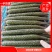 广东密刺黄瓜（青瓜)精品，电商平台，食堂新鲜一手货源直发