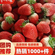 【热卖】优质供货电商，天仙醉草莓，安徽阜阳，量大价格