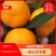 【产地直发】湖北高山蜜橘皮薄肉厚诚信共赢全国发货