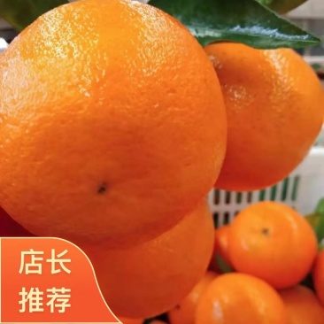 湖北宜昌精品秭归脐橙新鲜采摘香甜多汁欢迎来电咨询