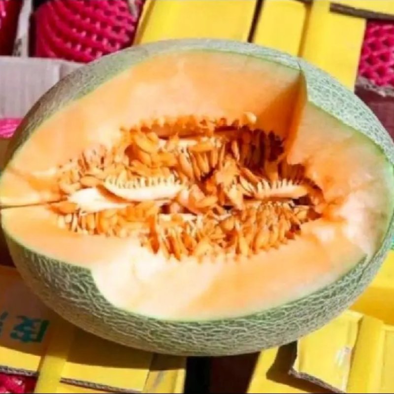 西州蜜，精品哈密瓜，品质好，价格优，代发全国各地
