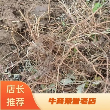 【精选】优质艾根纯度高种植基地货源充足可长期合作欢迎来电