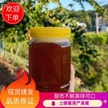 【精选】土蜂蜜波美度41度诚信经营品质保证欢迎