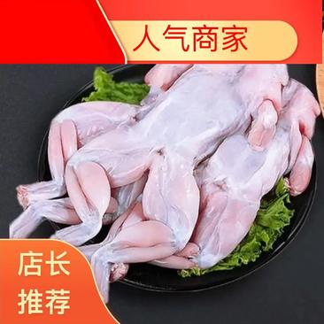 广东【精品冰鲜牛蛙】养殖场直发质优价低量大从优