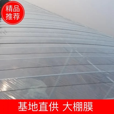 大棚配件泉林牌模棚模厂家直销诚信经营质量保证欢迎老板下单