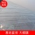 大棚配件泉林牌模棚模厂家直销诚信经营质量保证欢迎老板下单