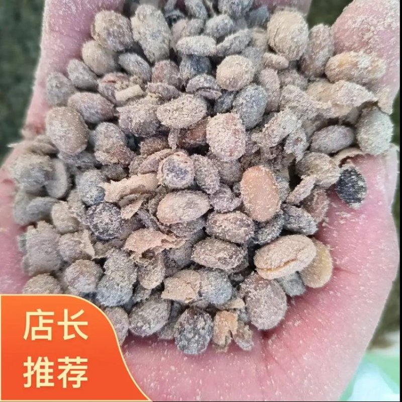 大豆发酵肥黄豆大豆肥微生物菌肥常年有货欢迎联系