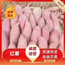 广薯大叶红精品红薯广东直供全国市场商超电商对接来电