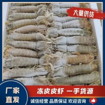 精品熟冻皮皮虾价格全国可供厂家直销来电洽谈视频