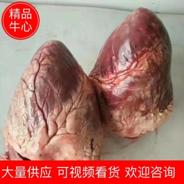 牛心，国产纯干牛心，长期现货供应，大量批发，全国各地发货