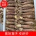 皮皮虾常年供应鲜活虾婆熟冻全母带膏全公