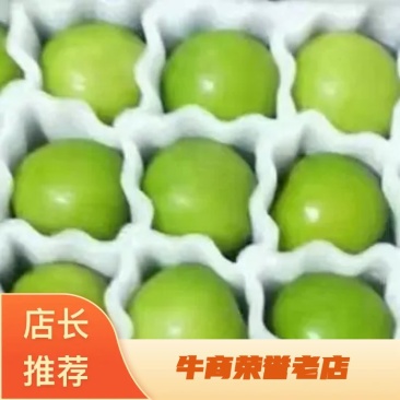 福建平和/脆蜜奶枣/青枣/贵妃枣/口感嘎嘎脆甜/货量充足