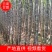 云南甘蔗（黑皮甘蔗）脆甜多汁，现砍现发，代发全国