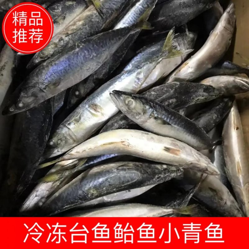 200-300规格冷冻台鱼鲐鱼小青鱼30斤饭店餐厅烧烤店