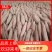 板栗红薯秦薯4号秦薯5号品类全量大价优品质保证欢迎来电